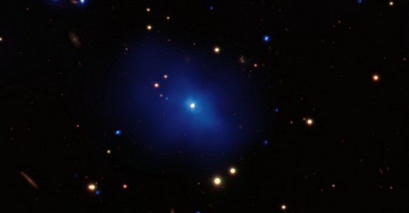 Quasar black holes investigated
