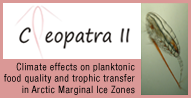 Cleopatra II Project