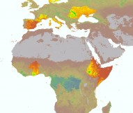 New satellite data analysis linked to eco insight