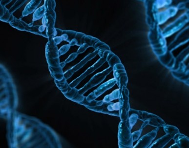 French firm gets place in genomic diagnostics venture