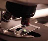 IMI calls for proposals